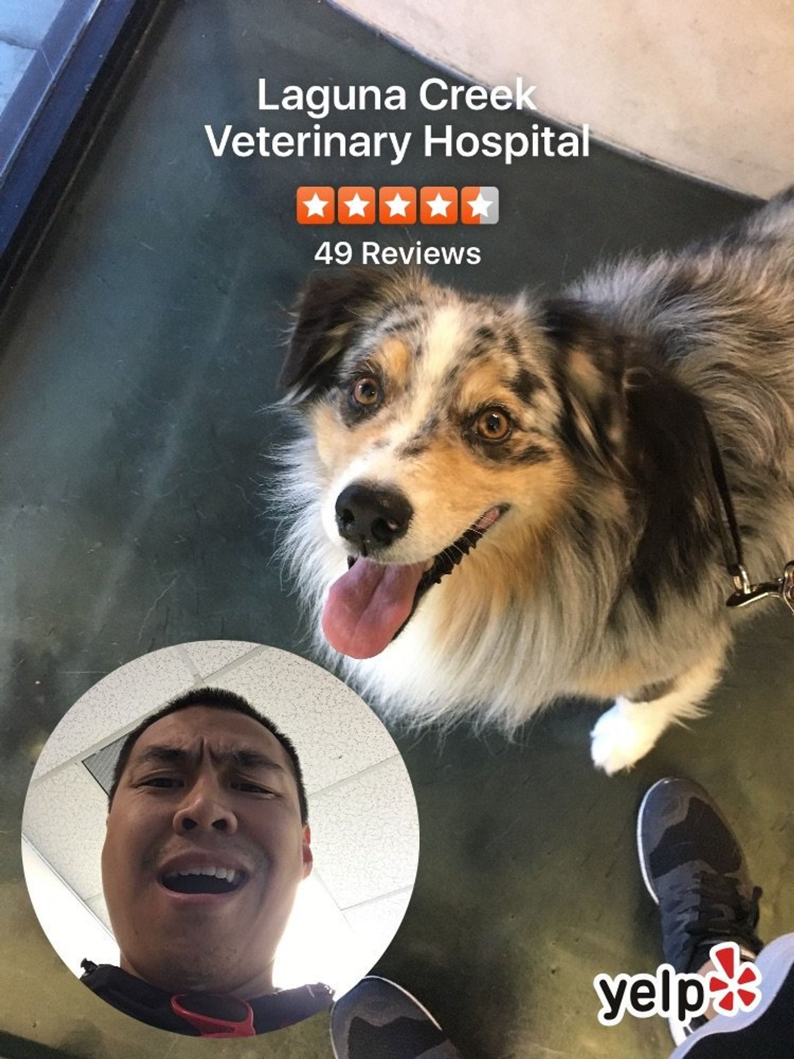 puppy yelfie
