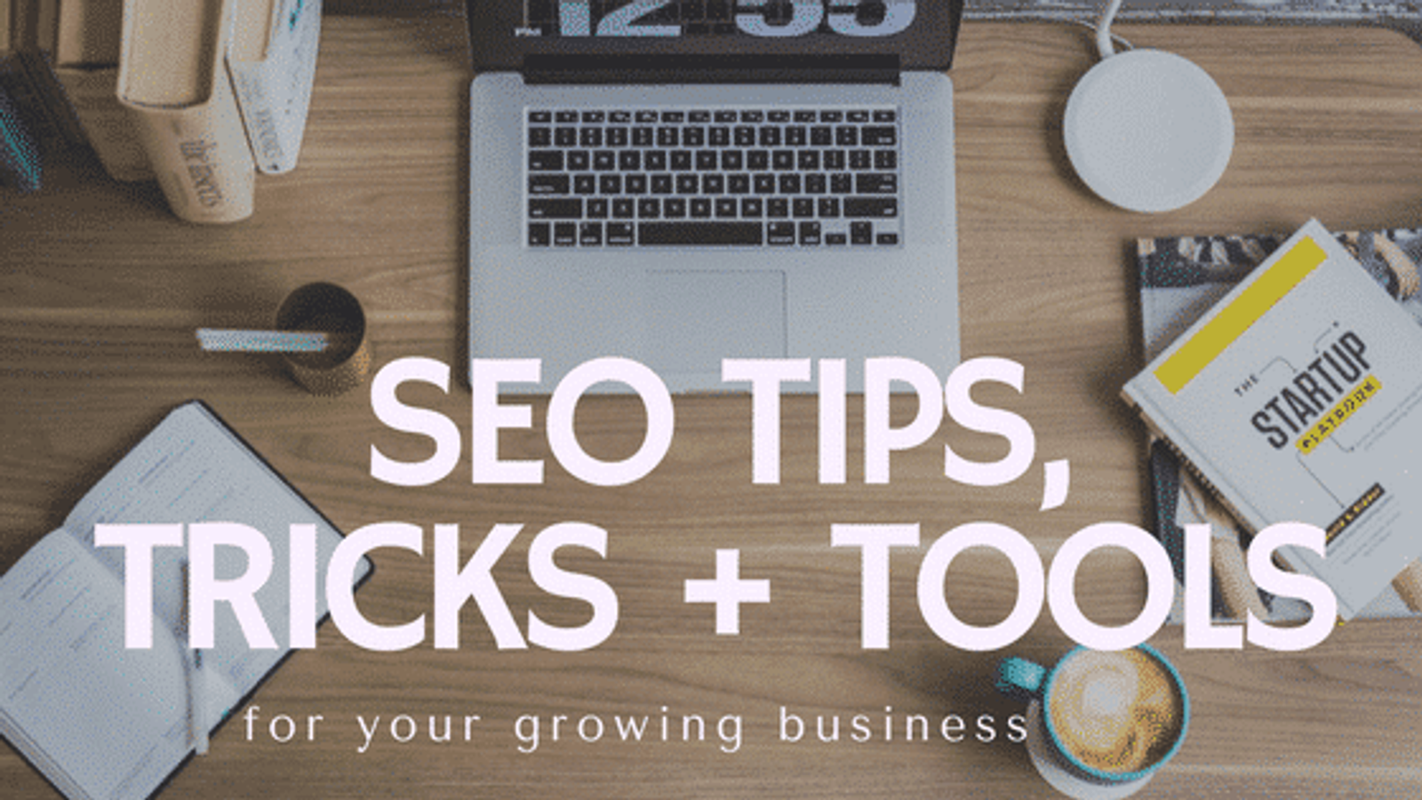 SEO Tips, Tricks + Tools For Your Growing Business