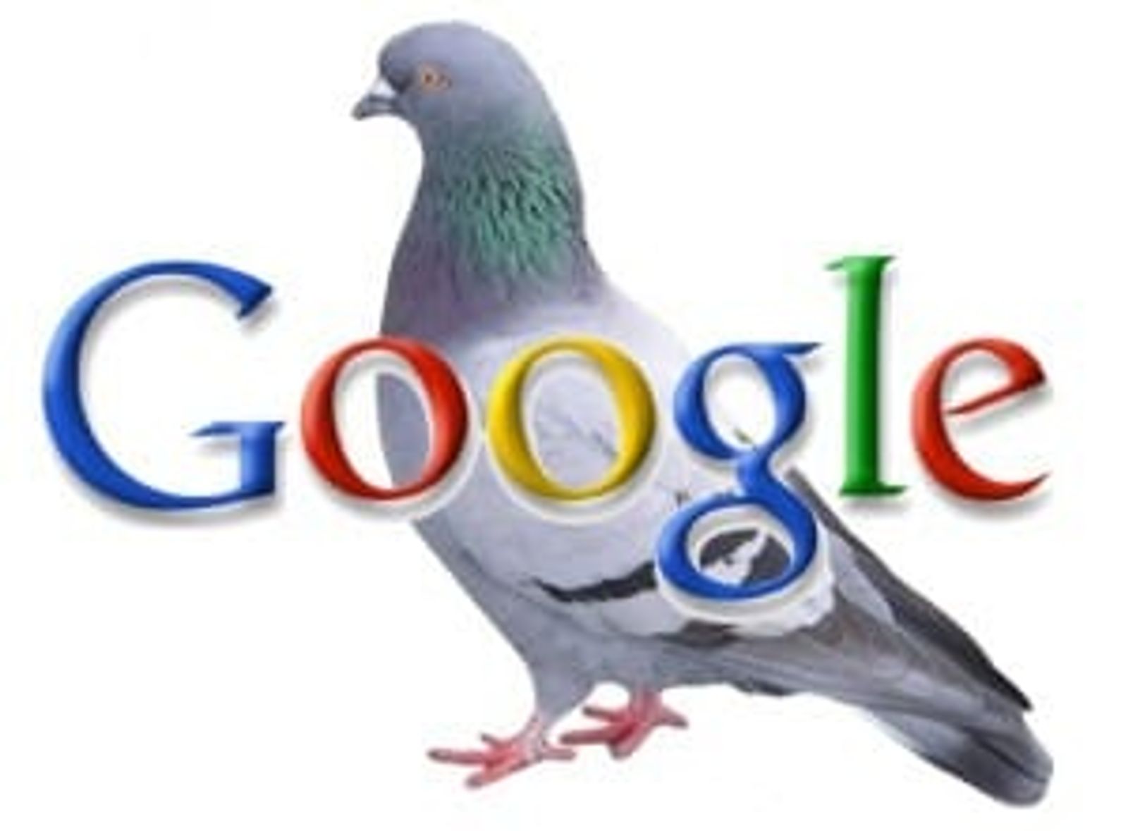 Local Search SEO Taking the Stage for Small Business Owners