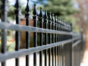 {{ custom_values.service_1 }} in {{custom_values.area_5})