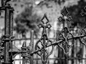Fences in West Los Angeles