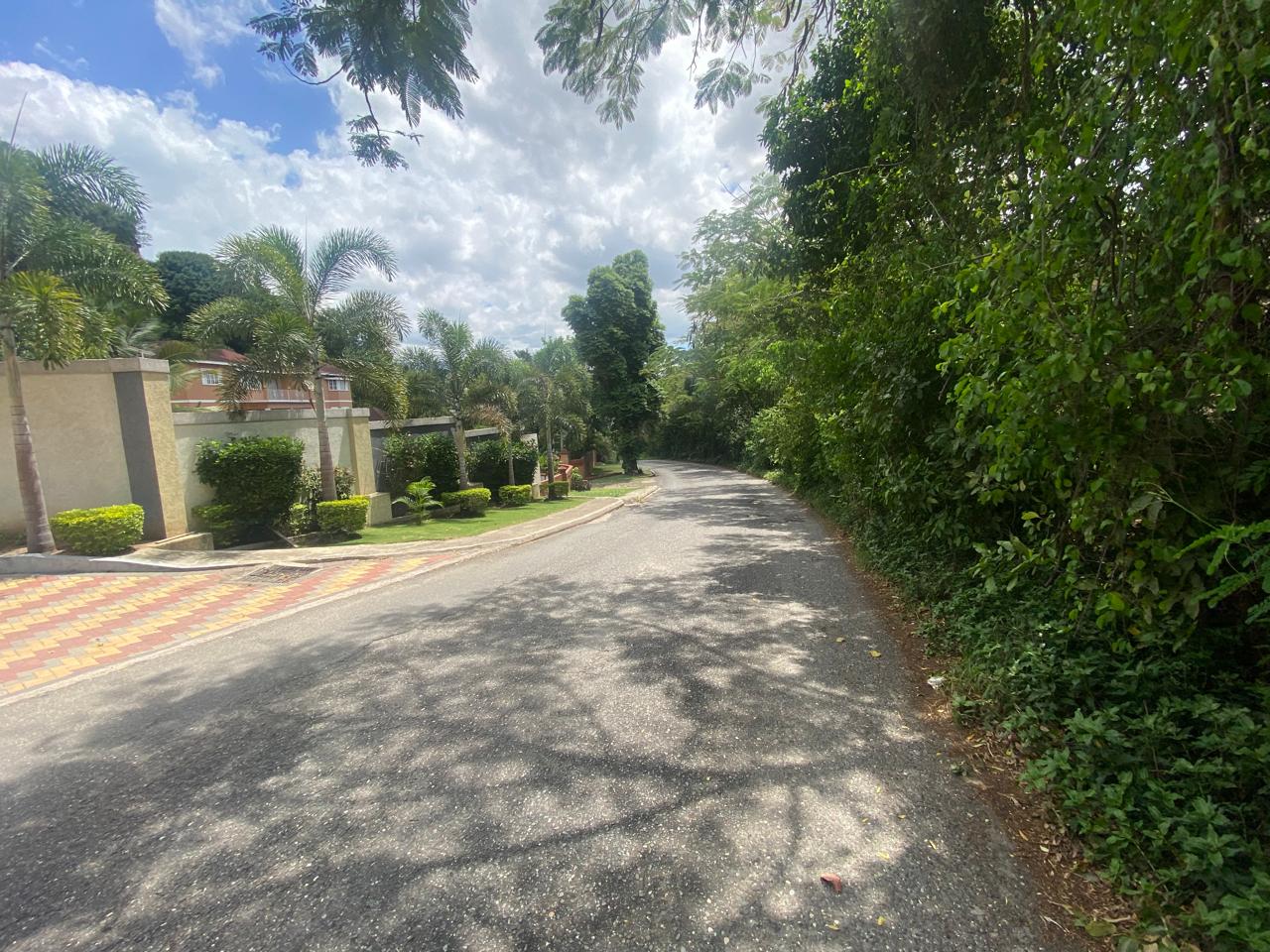 2BR in Stirling Castle and Forest Hills, Red Hills, St. Andrew — photo 3