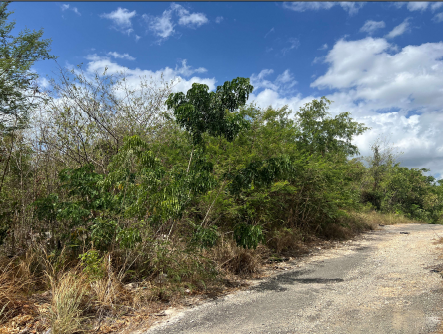 Vacant Lot in Plantation Heights, Red Hills