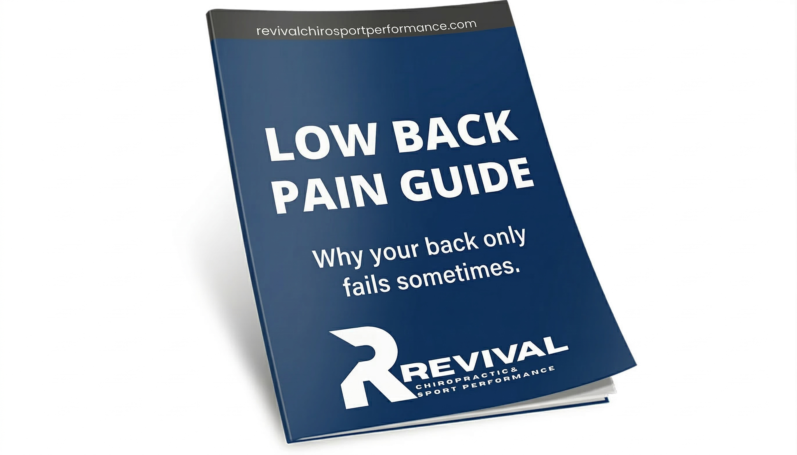 Low Back Pain Guide
