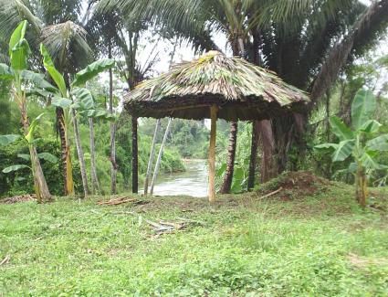 Thatch palapa by the river
