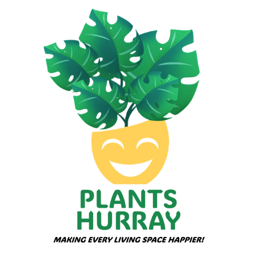 Full Garden Landscape in Metro Manila