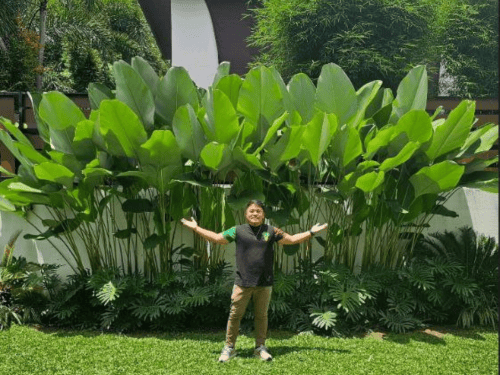 Garden Revival / Relandscaping in Metro Manila