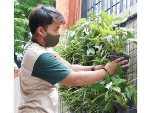 Garden Maintenance in Metro Manila