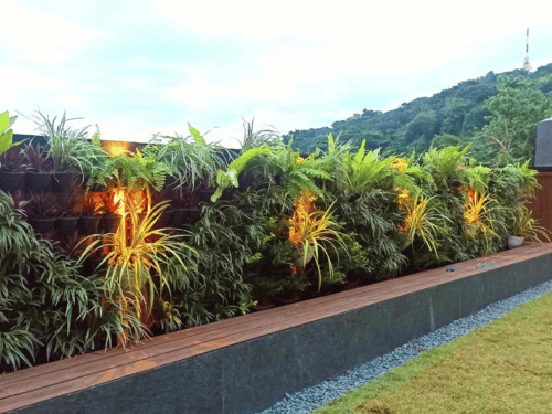 Vertical Gardening in Metro Manila