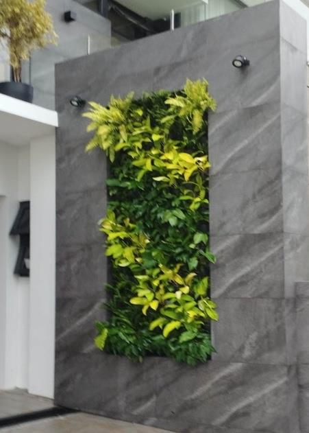  Full Garden Landscape