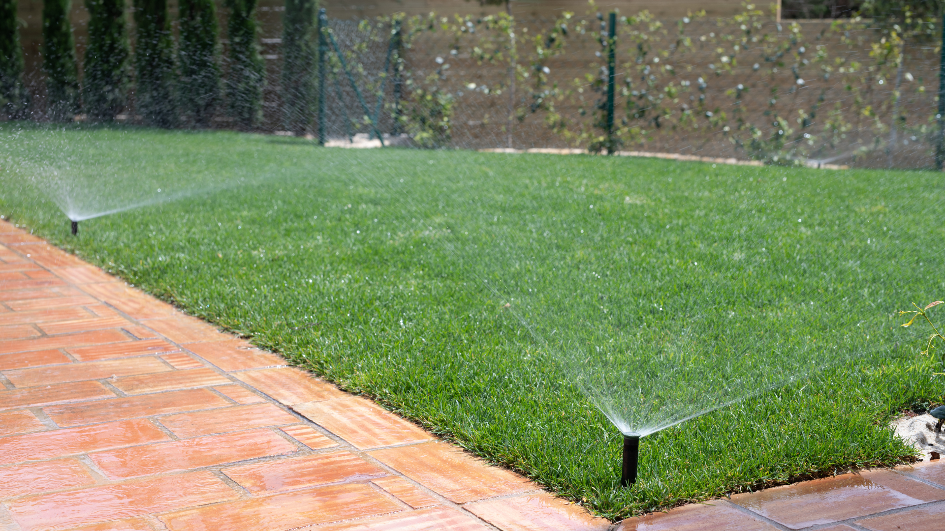  Full Garden Landscape