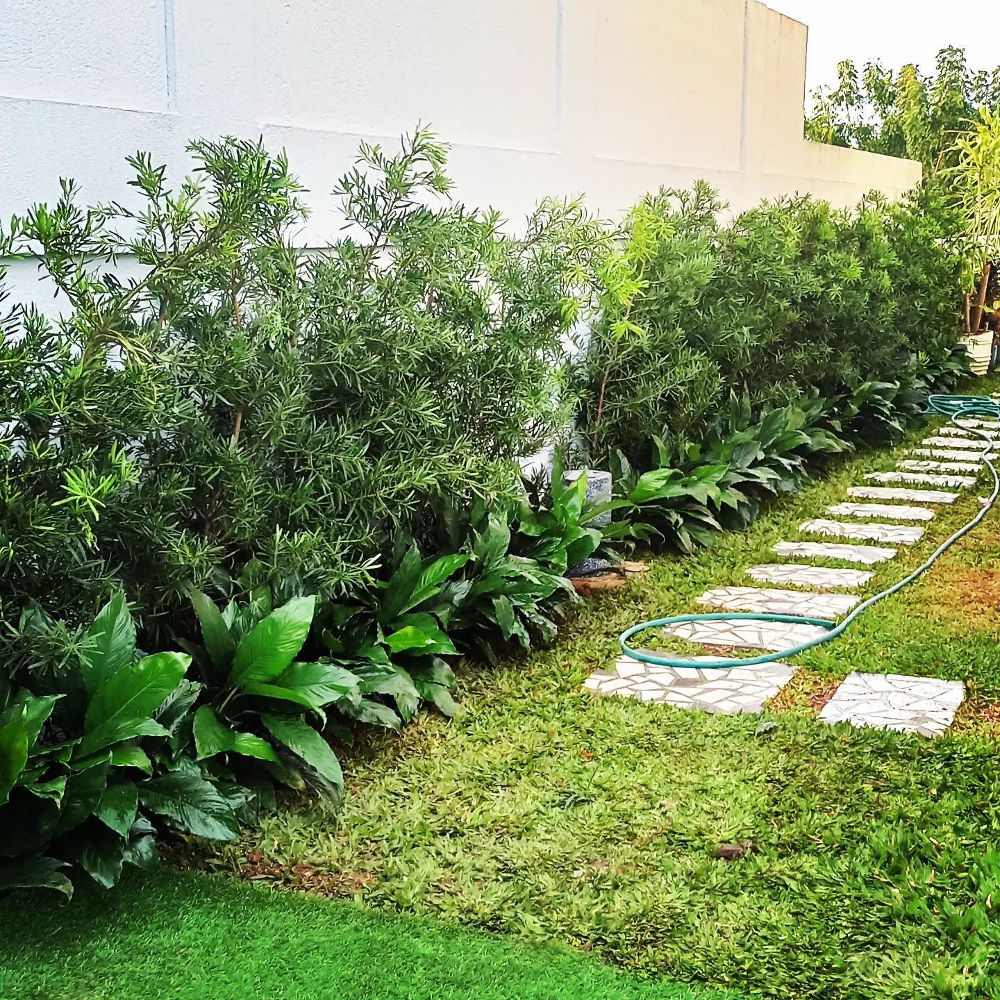 Design Concept Metro Manila