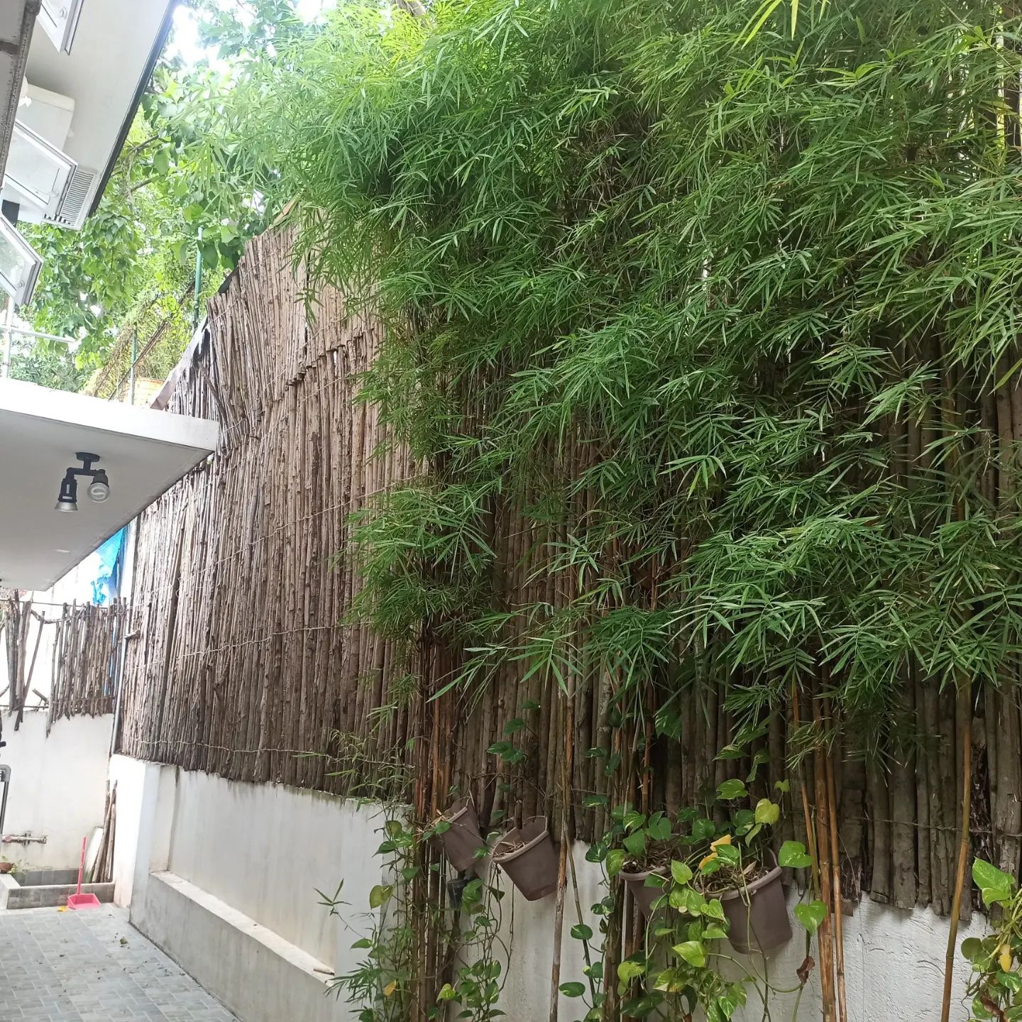 Garden Revival / Relandscaping Metro Manila