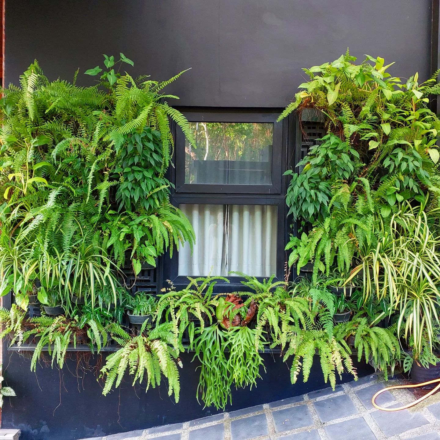 Garden Revival / Relandscaping Metro Manila