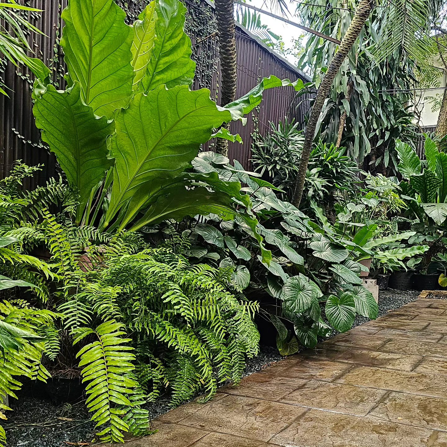 Artificial Turf Installation Metro Manila