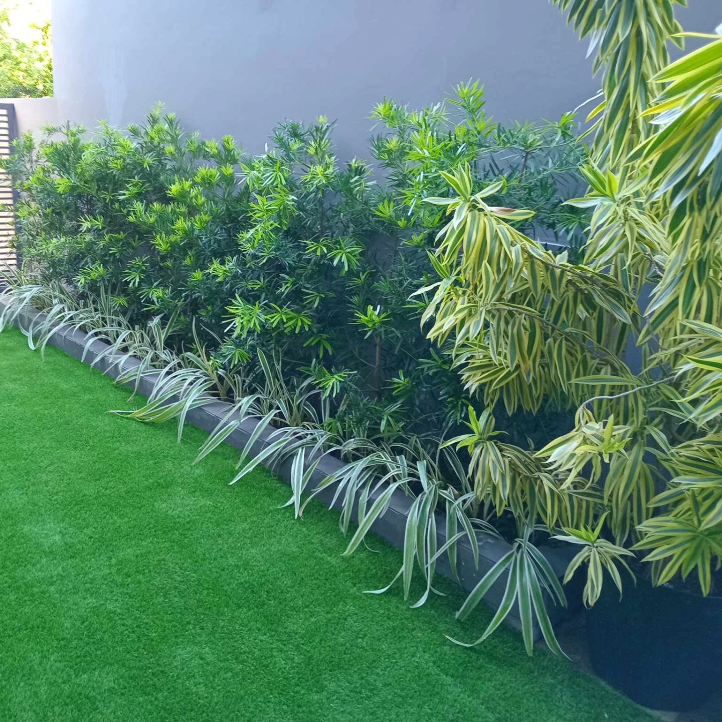 Garden Lights Installation Metro Manila