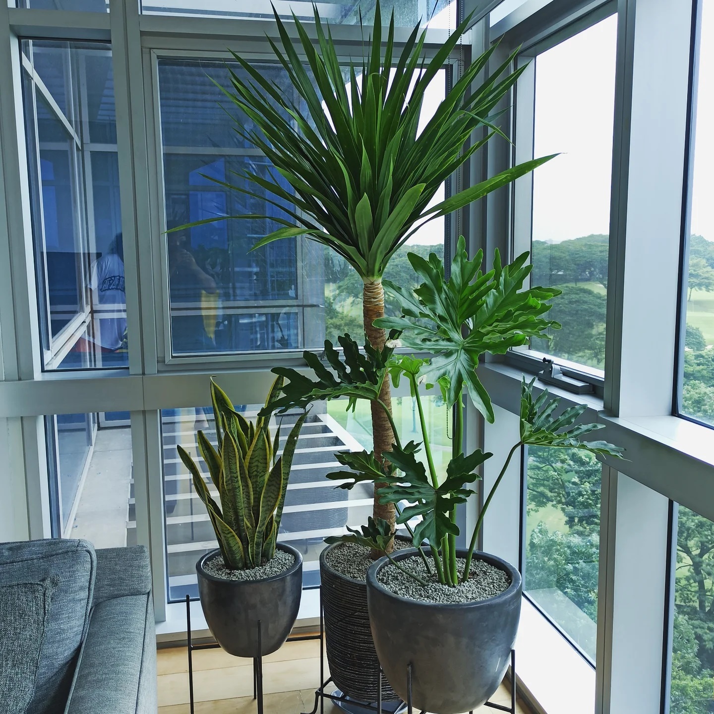 Vertical Gardening Metro Manila