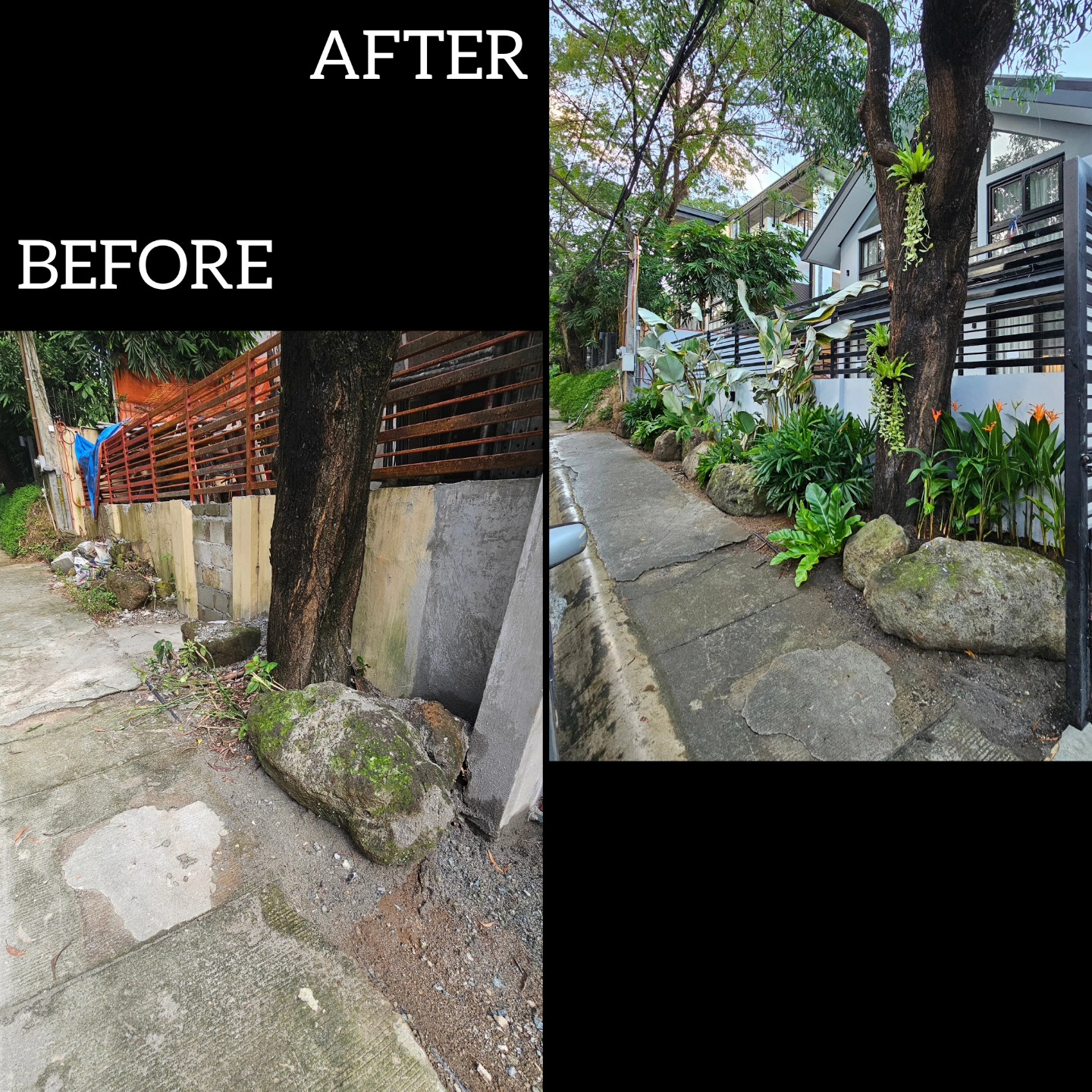 Garden Revival / Relandscaping Metro Manila