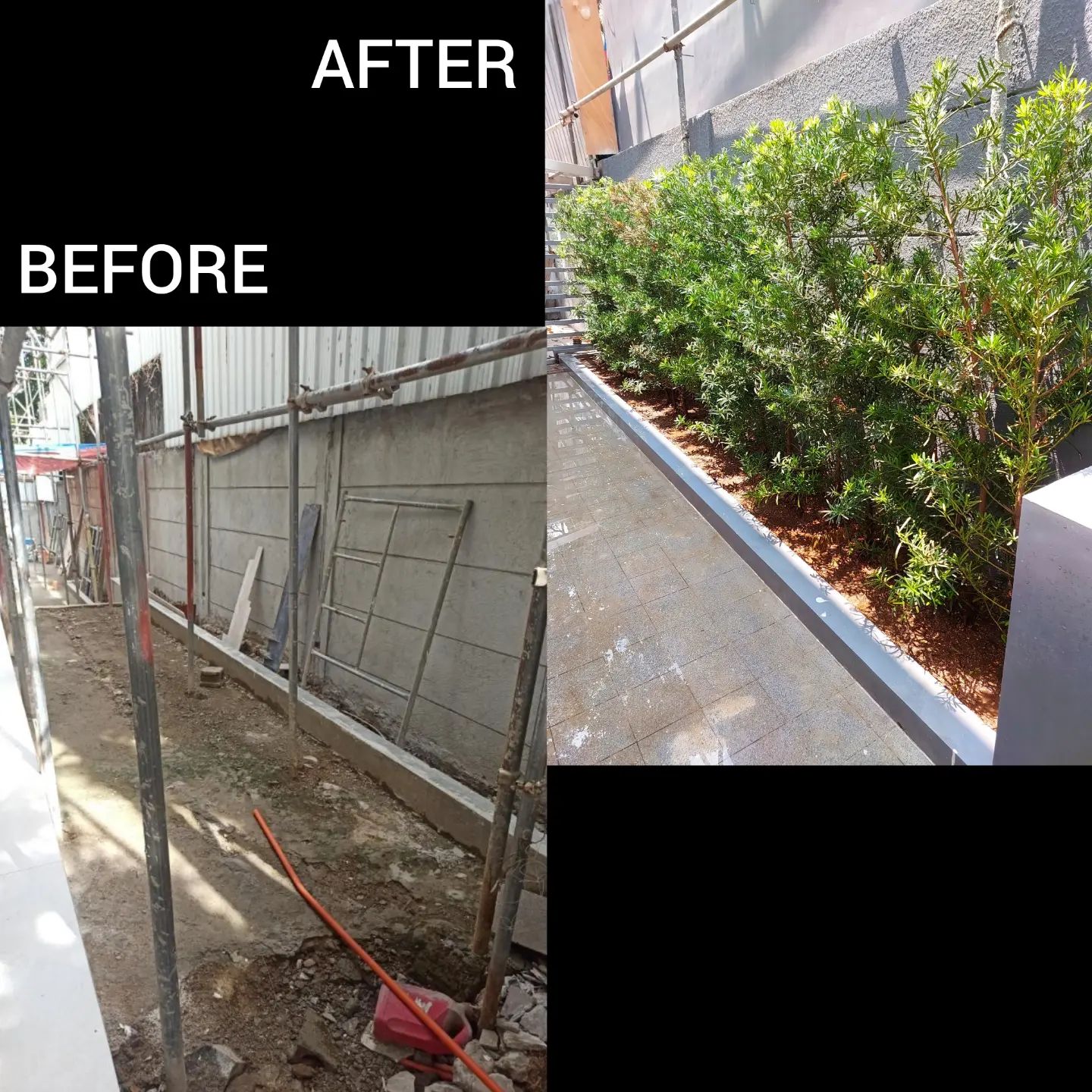 Garden Revival / Relandscaping Metro Manila