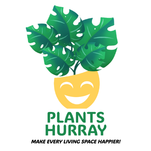 Landscaping / General Contracting Metro Manila