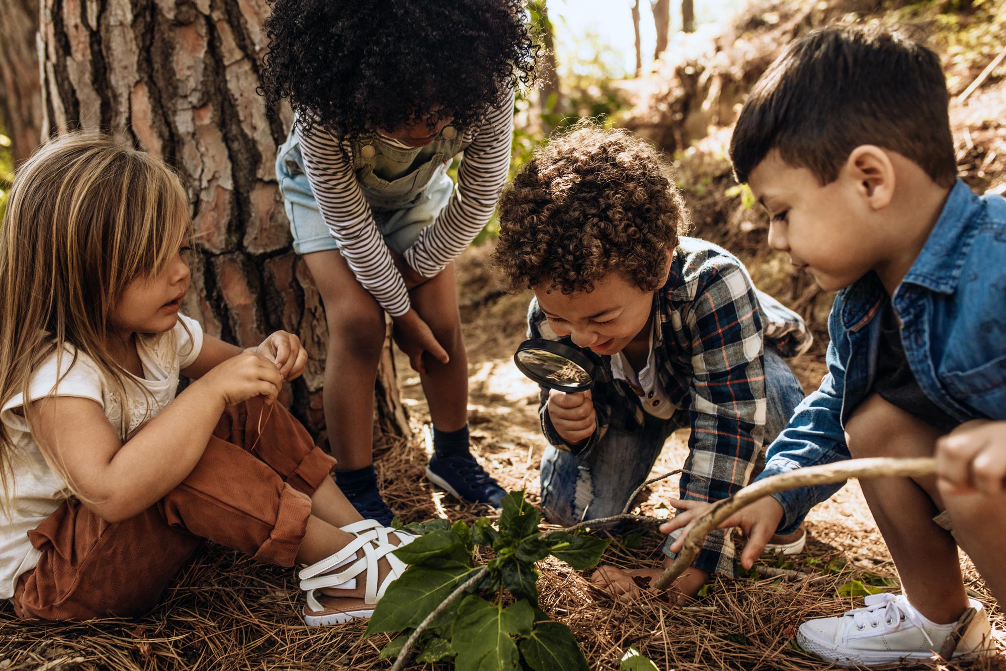 Children exploring outdoors in nature