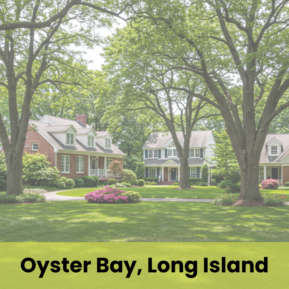 Oyster Bay