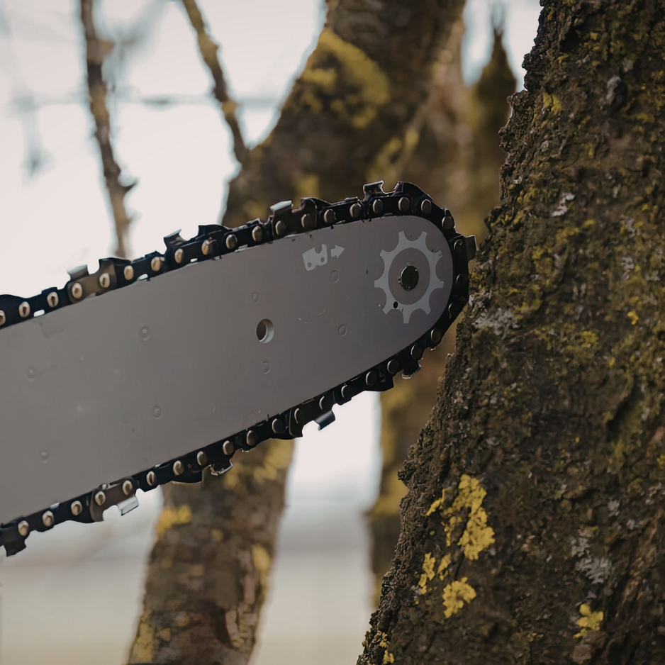 Clovis Outdoor Services Clovis Outdoor Services