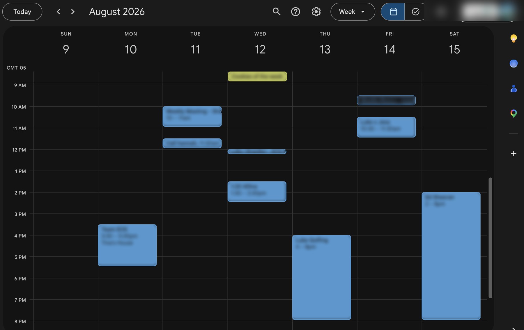 Luke's calendar before launch: a week in August with a handful of meetings