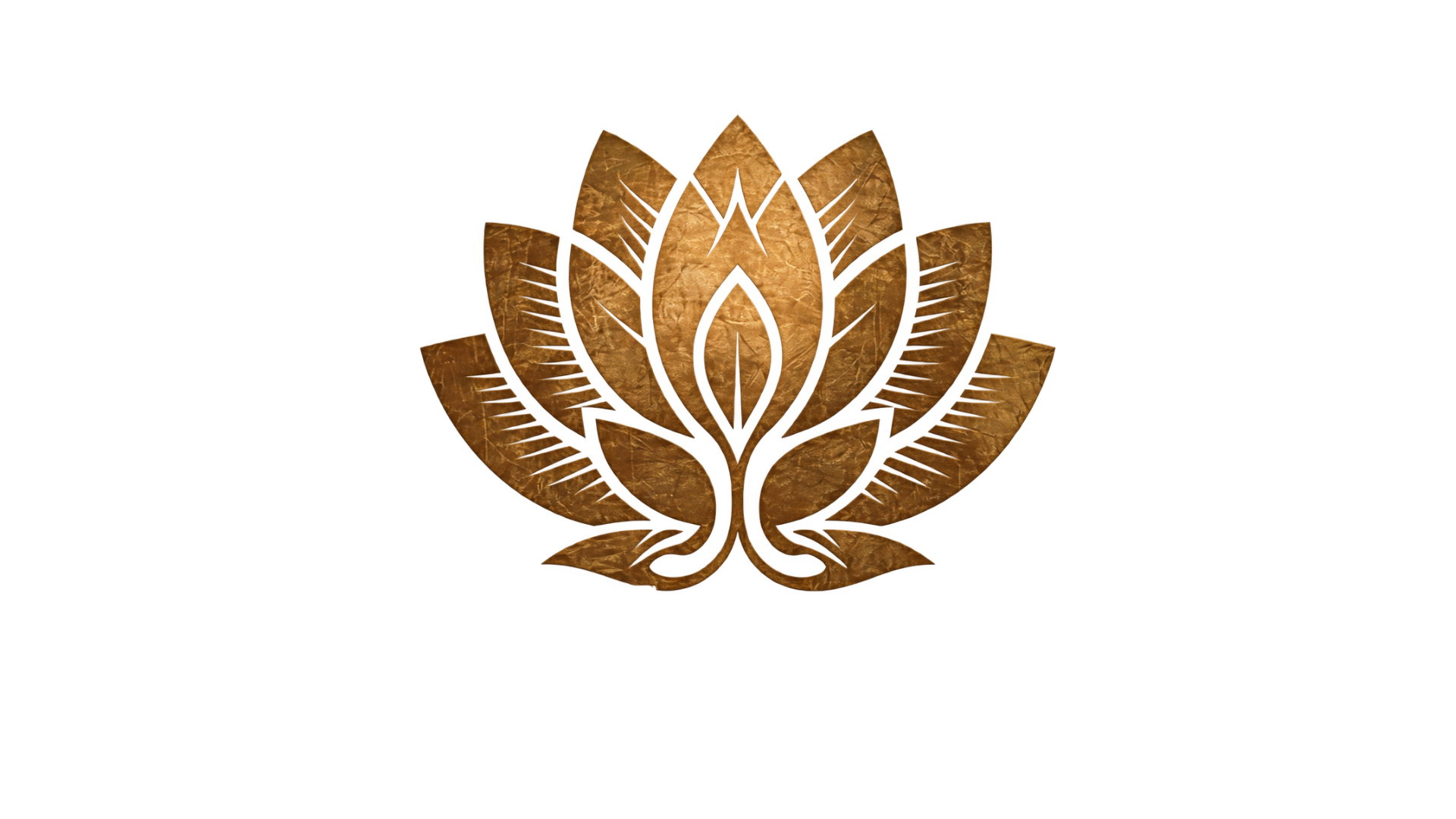 Holistic Nurse Academy