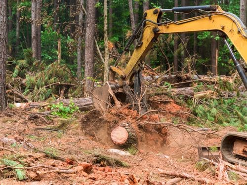Brush Clearing & Removal in Muskegon