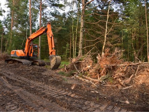 Land & Lot Clearing in Muskegon
