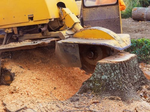 Stump Grinding in Muskegon