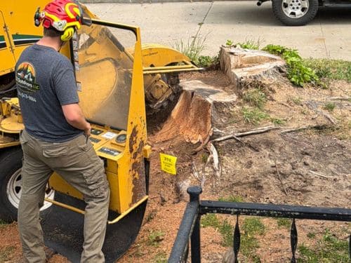 Tree & Property Services Oceana County, MI - Hart, Pentwater, Stoney Lake