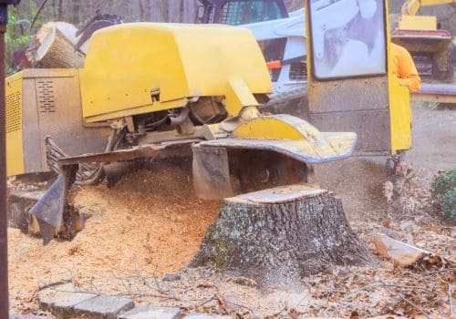 North Muskegon Stump Grinding