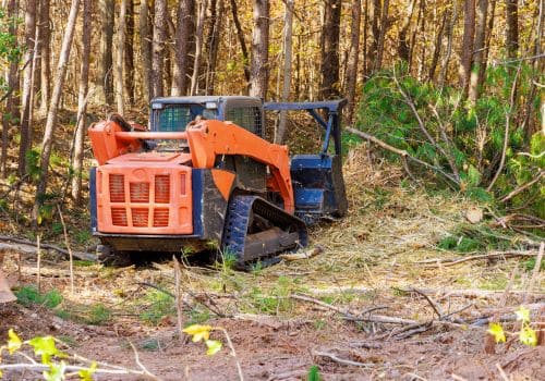 Rothbury Tree Removal