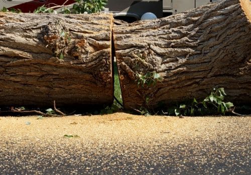 Hart, MI - Tree Removal