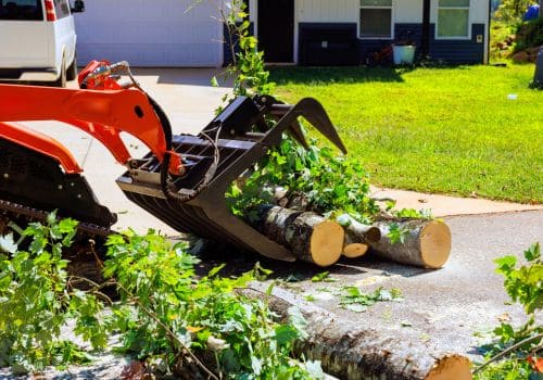 Norton Shores Tree Trimming
