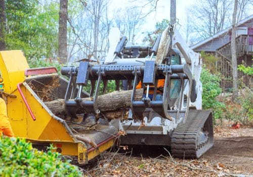 New Era Tree Removal