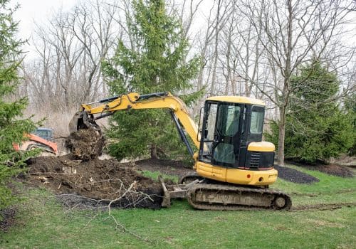 Shelby Tree Removal