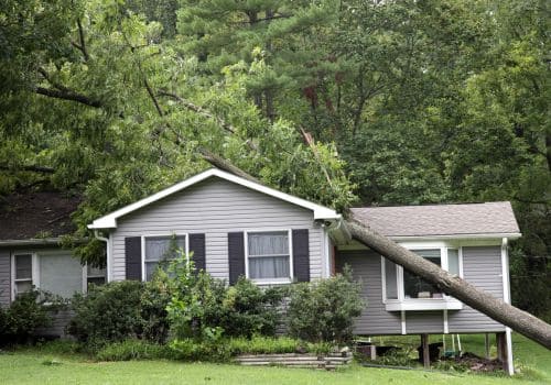 North Muskegon Emergency Tree Service