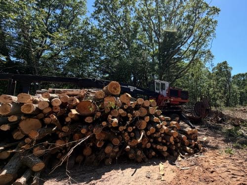 Mears Tree Service
