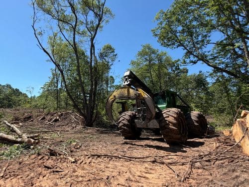 tree removal Stoney Lake MI West Michigan
