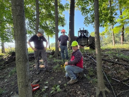 tree service Hart MI Oceana County