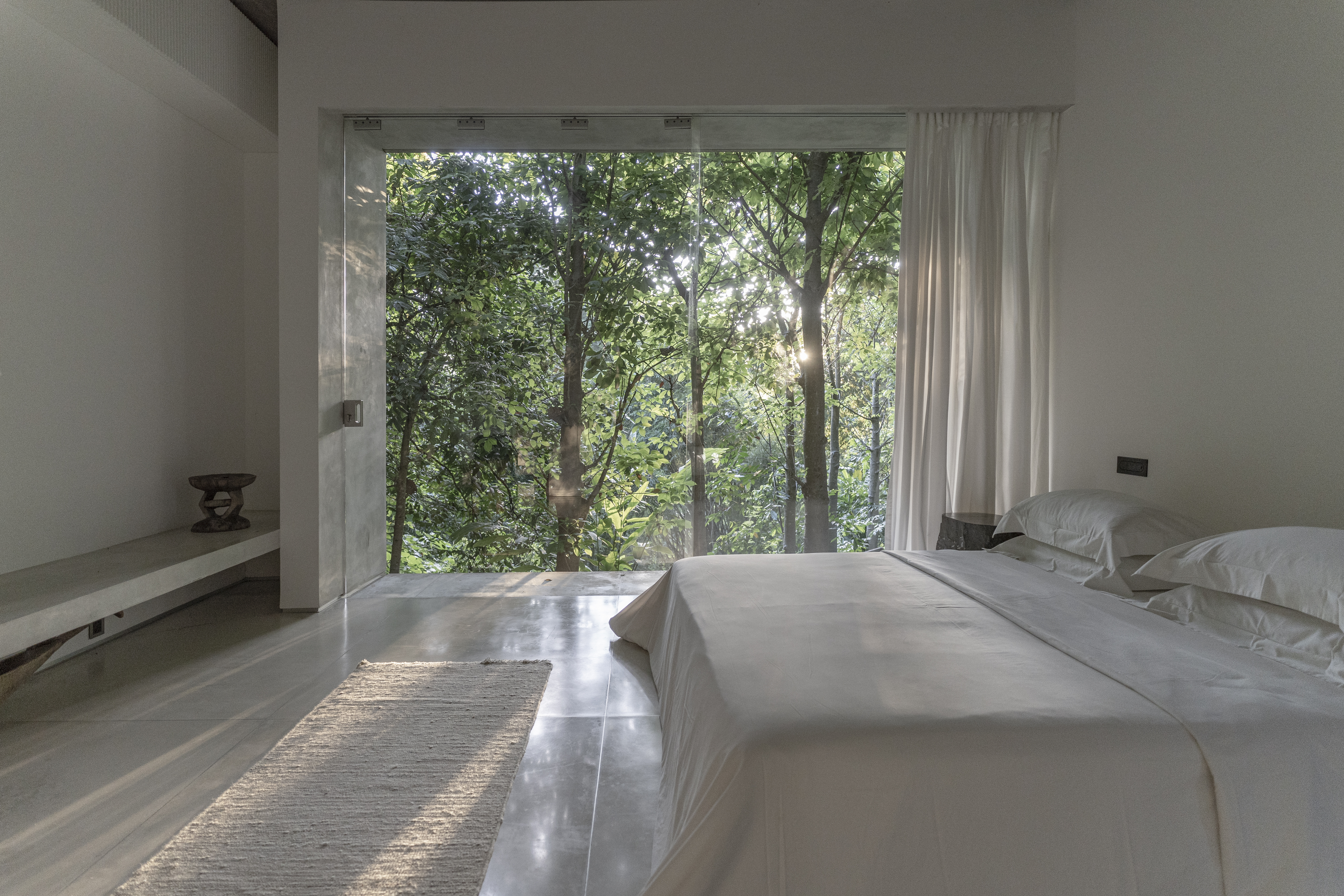 Private Suite room overlooking the forest