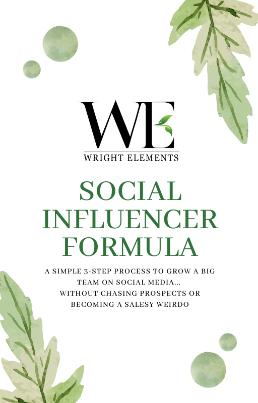 The Social Influencer Formula