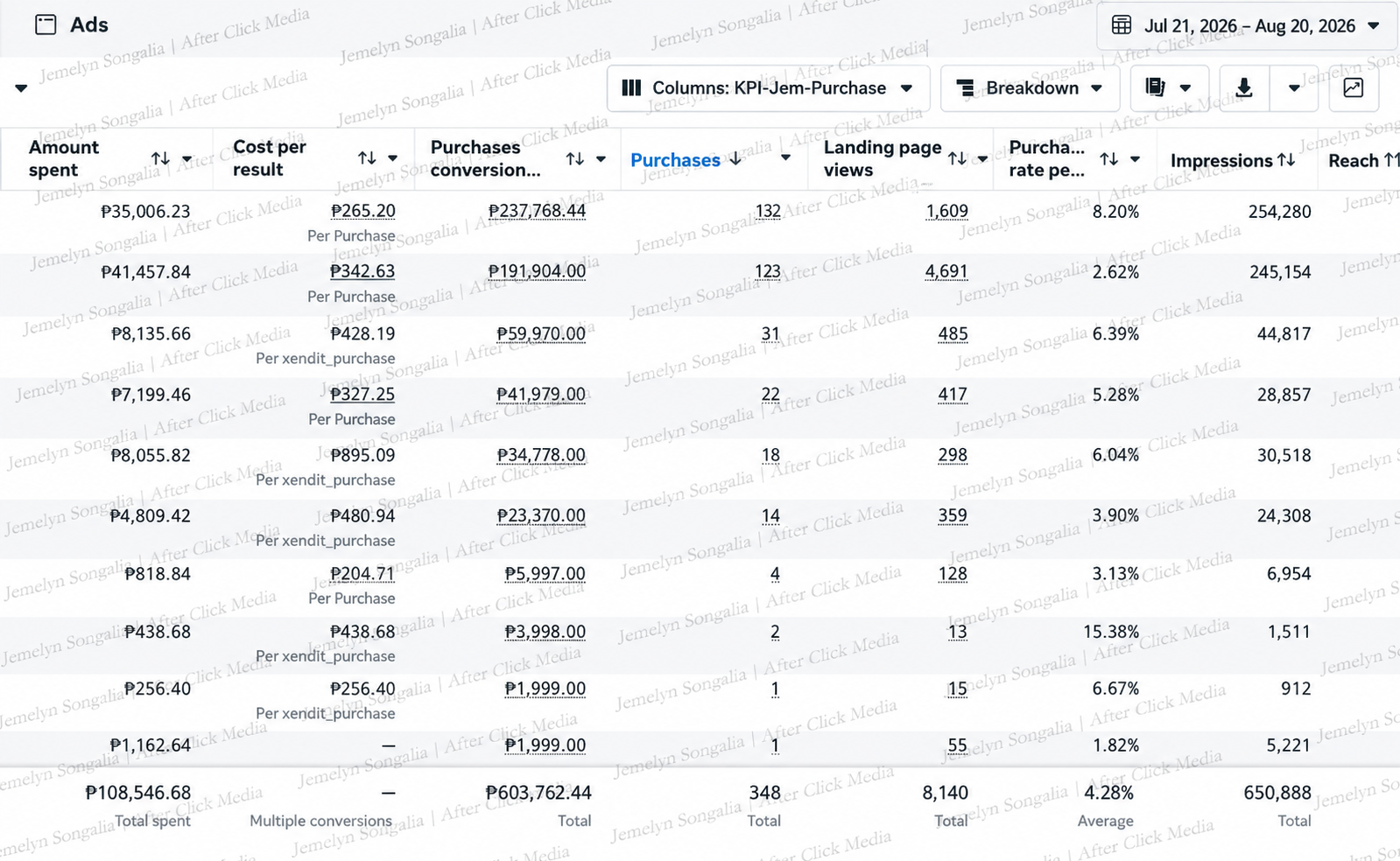 Meta Ads Manager campaign performance screenshot