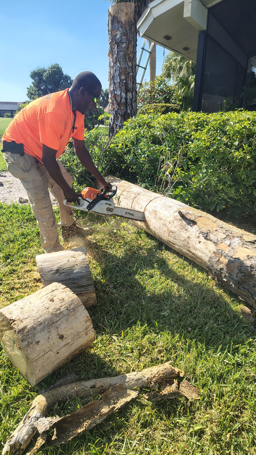Worker cutting a tree trunk with a chainsaw