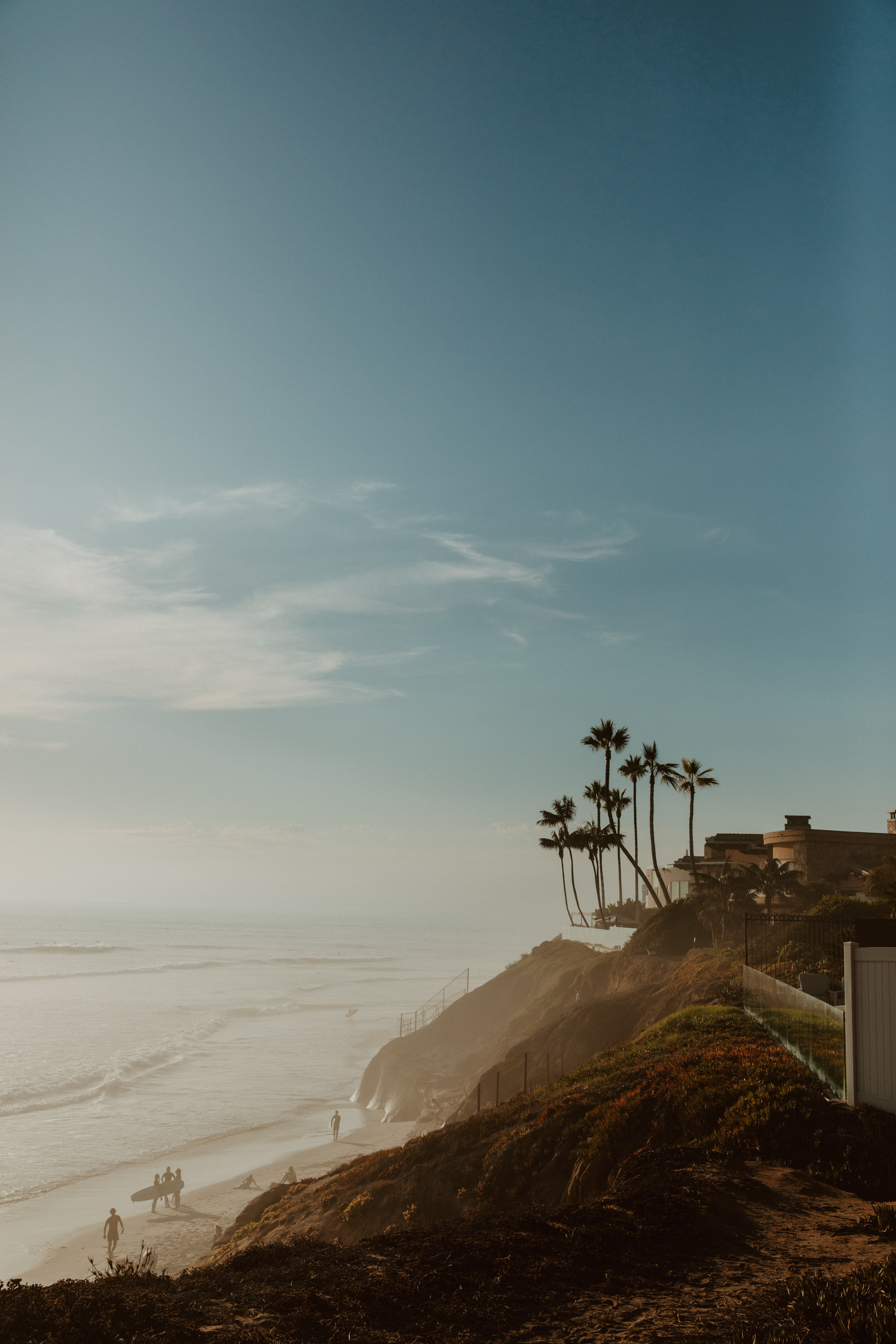 Palm trees on a coastal bluff above surfers on a San Diego beach