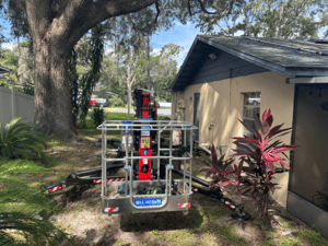 Tree Trimming in Fruitland Park