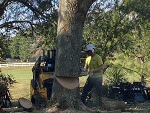 Storm Damage Response in Lady Lake
